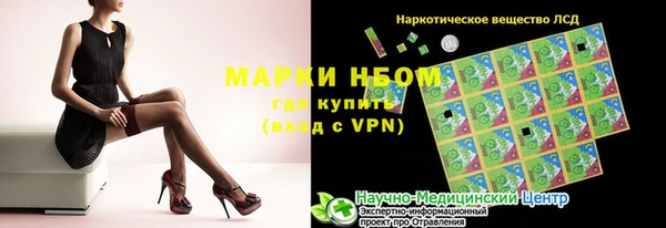 прущие грибы Балахна