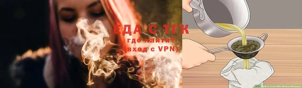 прущие грибы Балахна