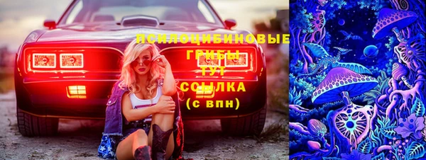 прущие грибы Балахна