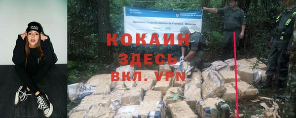 прущие грибы Балахна