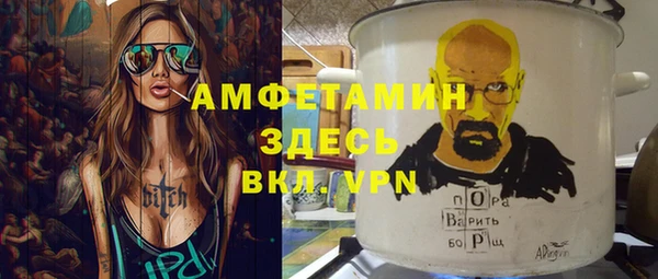 прущие грибы Балахна
