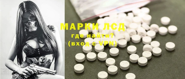 прущие грибы Балахна