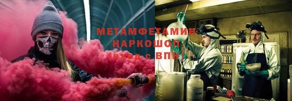 прущие грибы Балахна