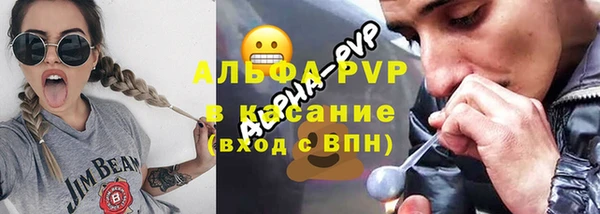 прущие грибы Балахна
